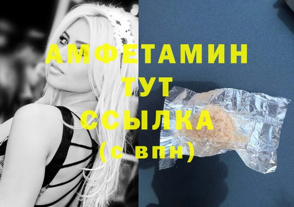ГАЛЛЮЦИНОГЕННЫЕ ГРИБЫ Алзамай