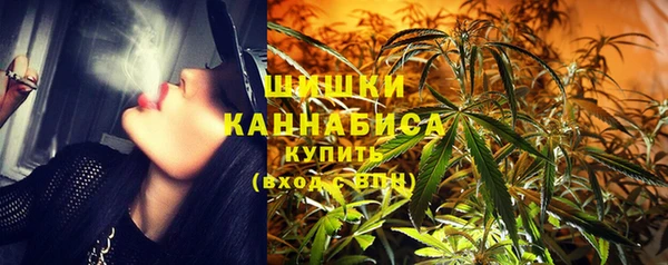 стаф Новодвинск