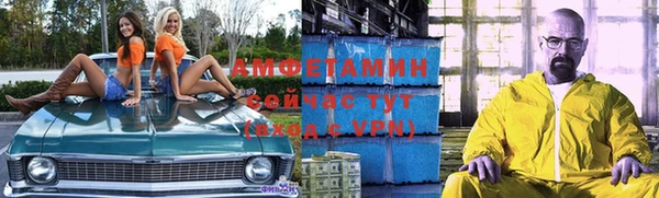 крисы Абаза