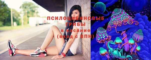 ГАЛЛЮЦИНОГЕННЫЕ ГРИБЫ Алзамай