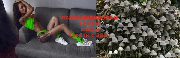 Альфа ПВП Алексеевка