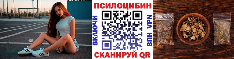 Псилоцибиновые грибы Cubensis  гидра ссылки  Чехов  купить  